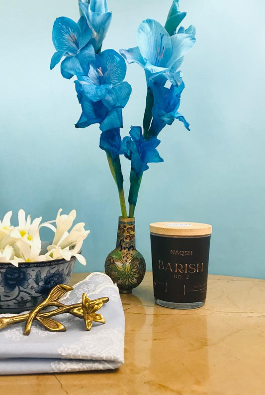 BARISH — DISCOVERY CANDLE 70G
